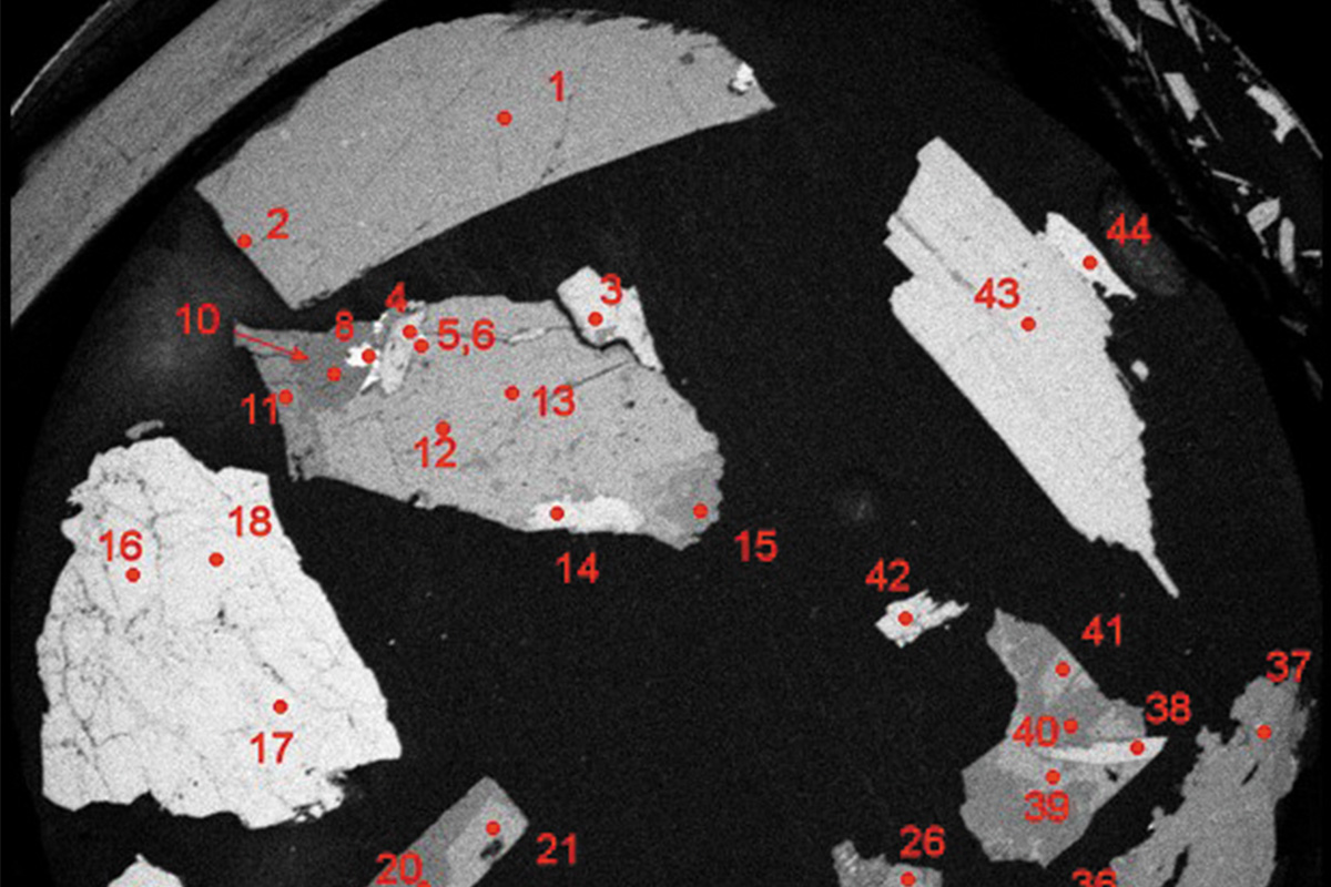 Рис. 2. BSE-снимок препаратов с образцами пород Ловозерского хвостохранилища в первоначальном виде. Цифрами (1-44) обозначены точки проведения анализа в образцах