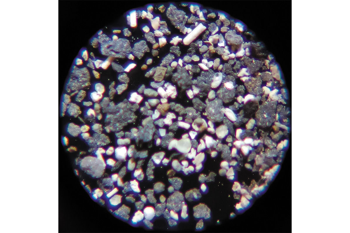 Рис. 13. Промытая глина из д. Марково, содержащая фораминиферы, под микроскопом (увеличение 40х)