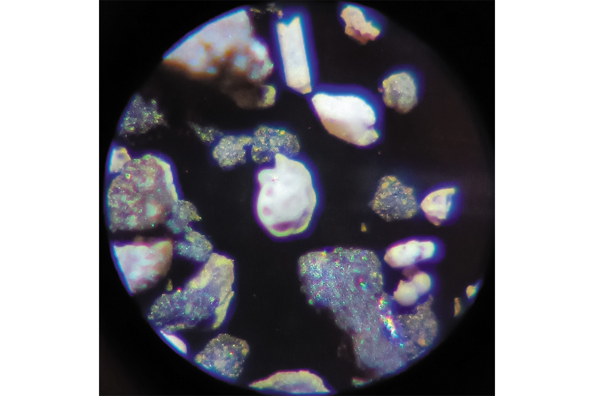 Рис. 14. Фораминифера Epistomina sp. (д. Марково, Московская область). Фотография сделана через микроскоп (увеличение 100х)