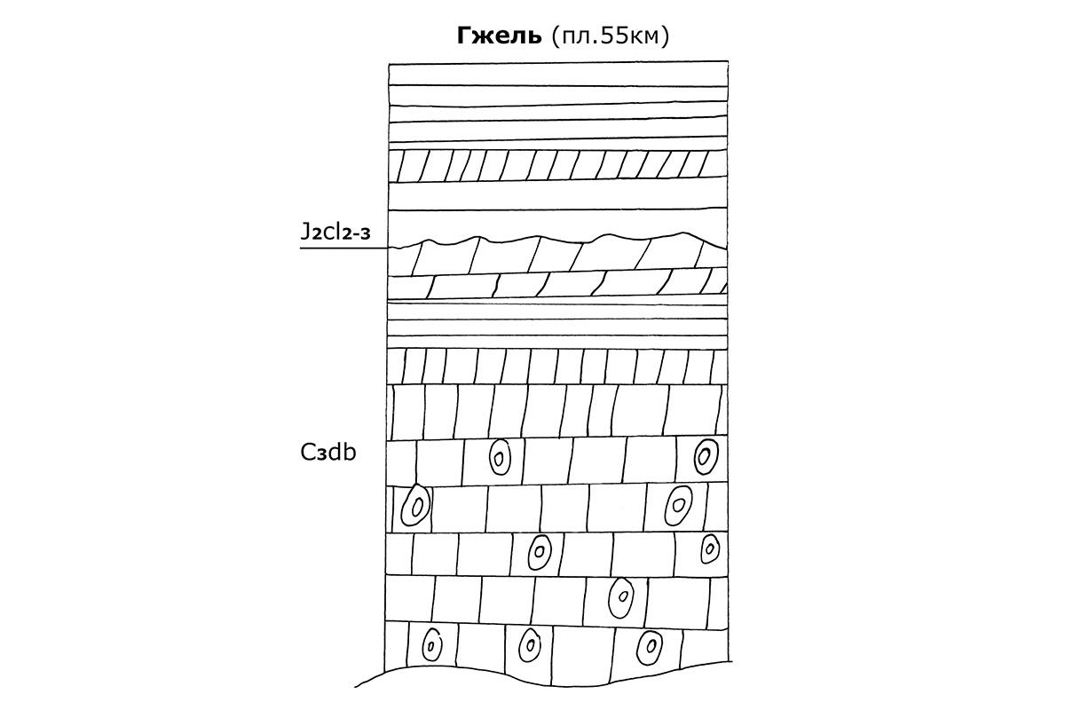 Рис. 7. Гжельский стратотип, пл. 55 км, рисунок автора