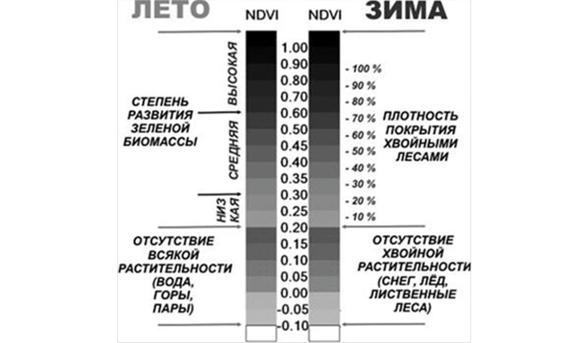 Рис. 2. Значения NDVI и соответствующие им типы растительного покрова